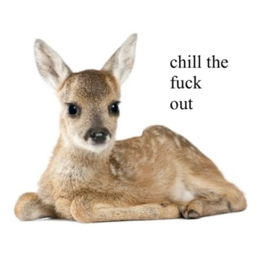 Meet your Posher, Ella